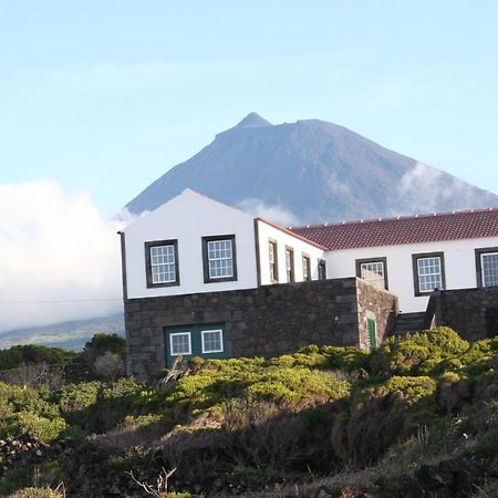 Dream By The Sea Madalena (Azores) Exterior foto