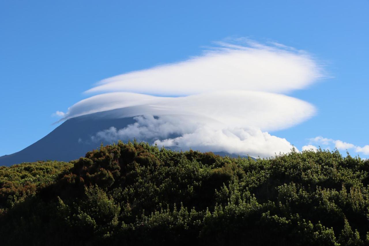 Dream By The Sea Madalena (Azores) Exterior foto
