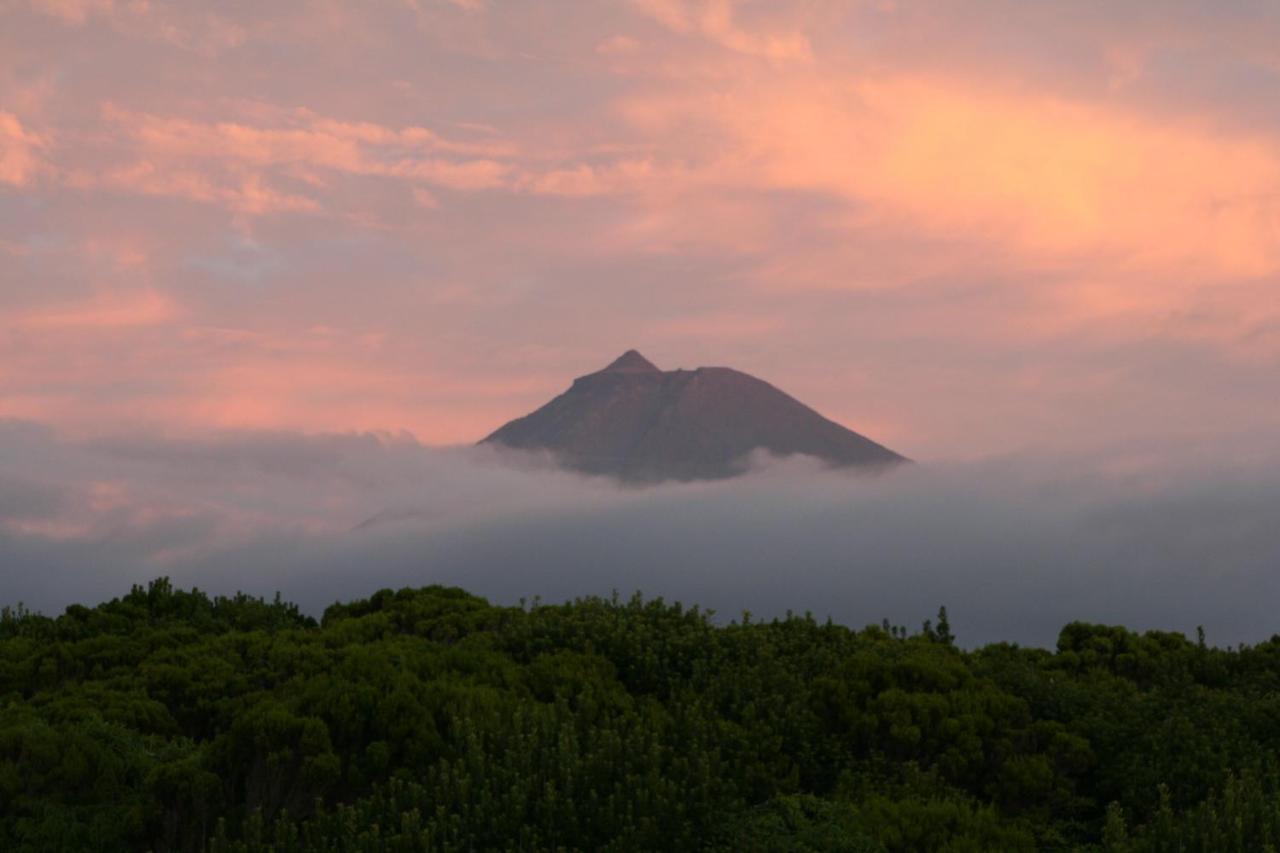 Dream By The Sea Madalena (Azores) Exterior foto