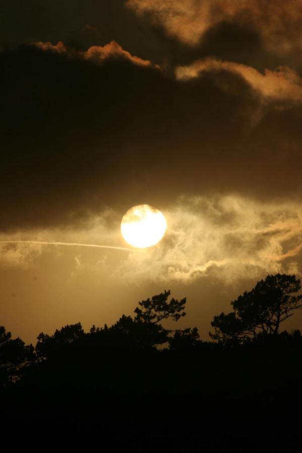 Dream By The Sea Madalena (Azores) Exterior foto